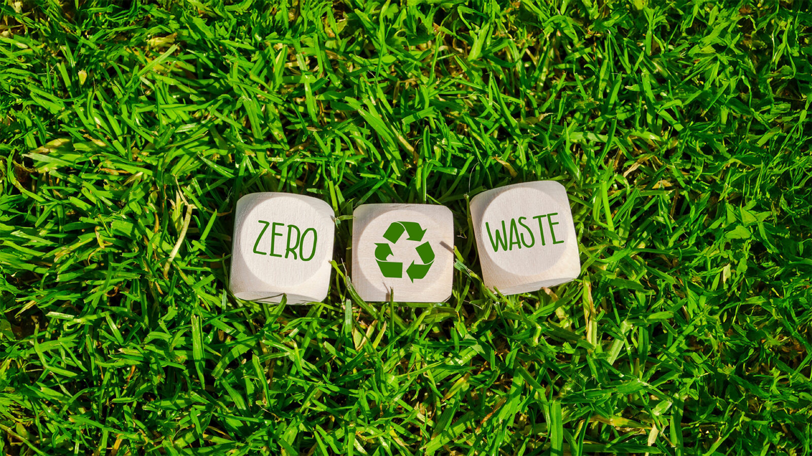 circular economy