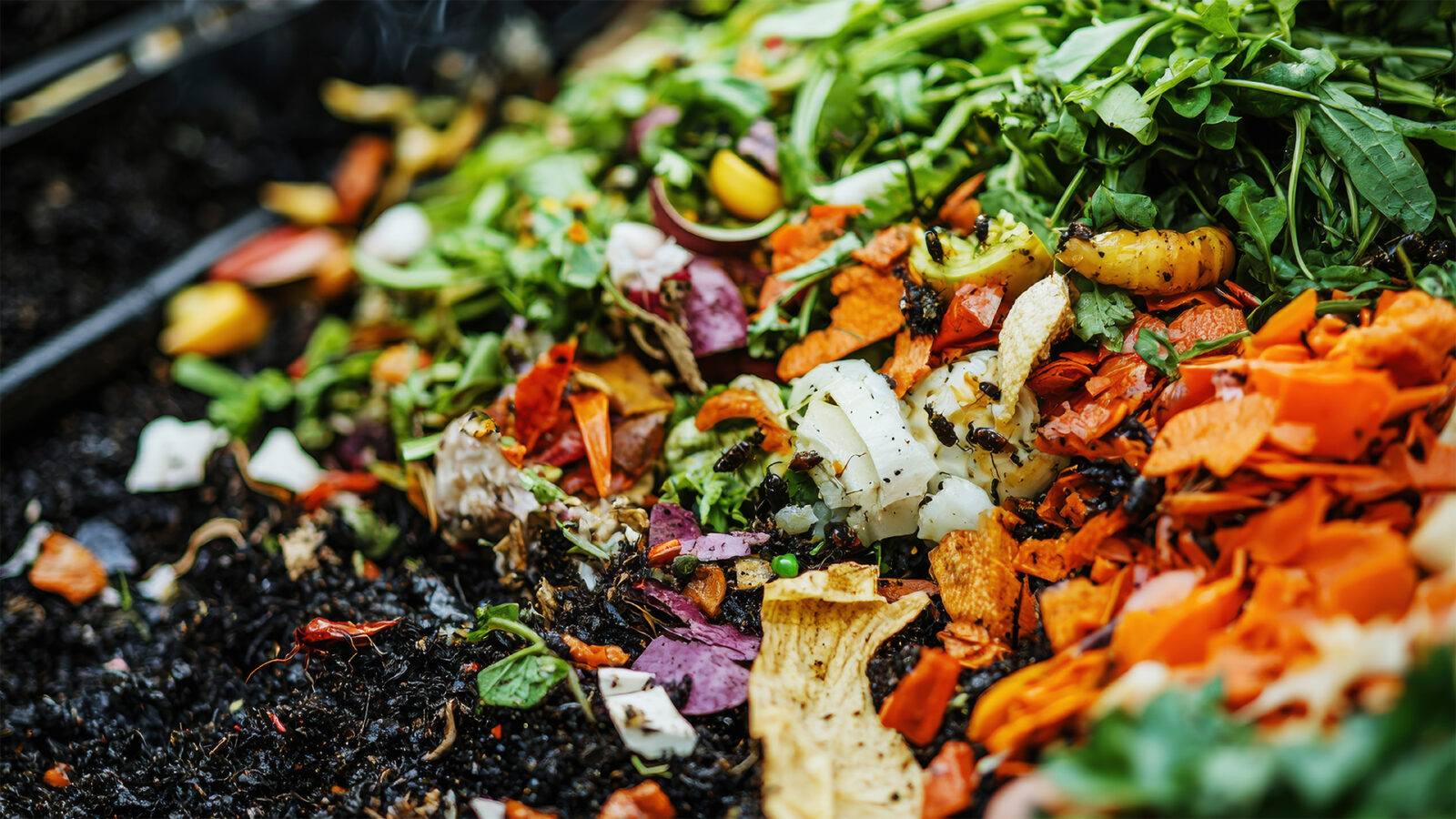 Mixed organic waste