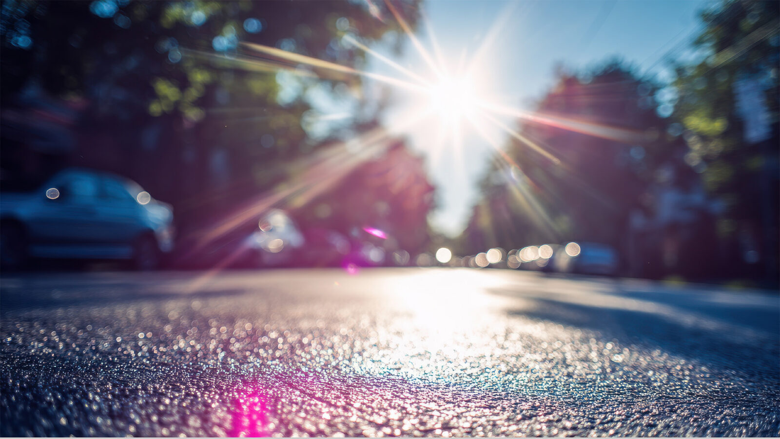 Intense Sunlight Shimmers on Wet Asphalt During a Summer Heatwave