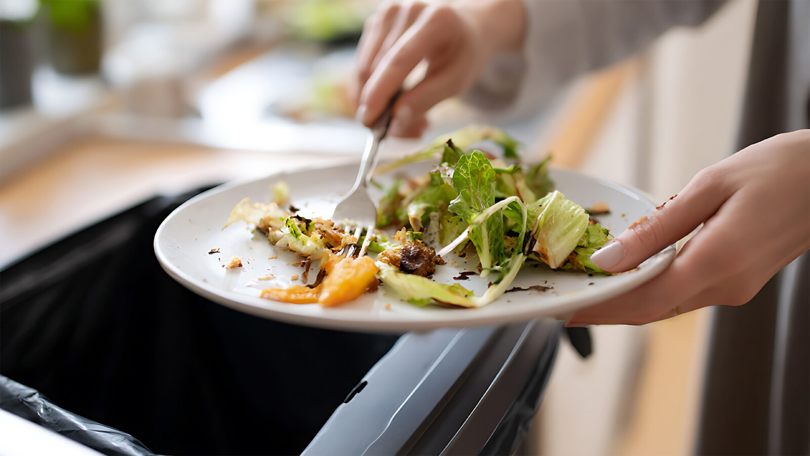 Woman scrape food waste from plate into compost bin, discard leftover organic rubbish, promote eco-friendly lifestyle in modern kitchen interior